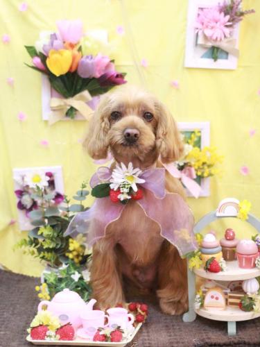 20230330紋之助くん